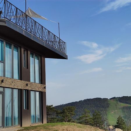 Vila Onyx Divcibare Exterior photo